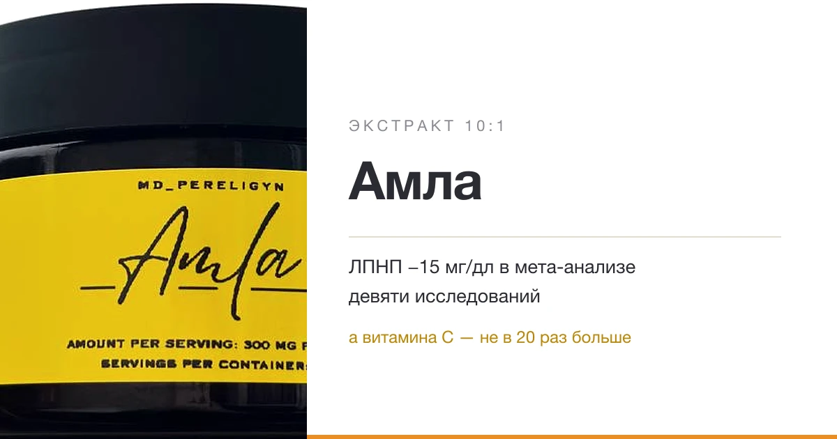 Amla (10:1 Extract): What the Research Shows, and What Turned Out to Be a Legend