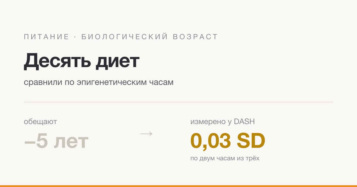 Десять здоровых диет сравнили по биологическому возрасту. Разница между ними меньше, чем кажется