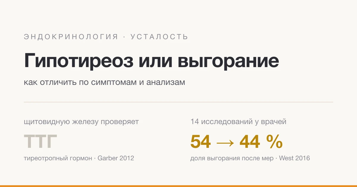 Гипотиреоз или выгорание: как отличить по симптомам и анализам