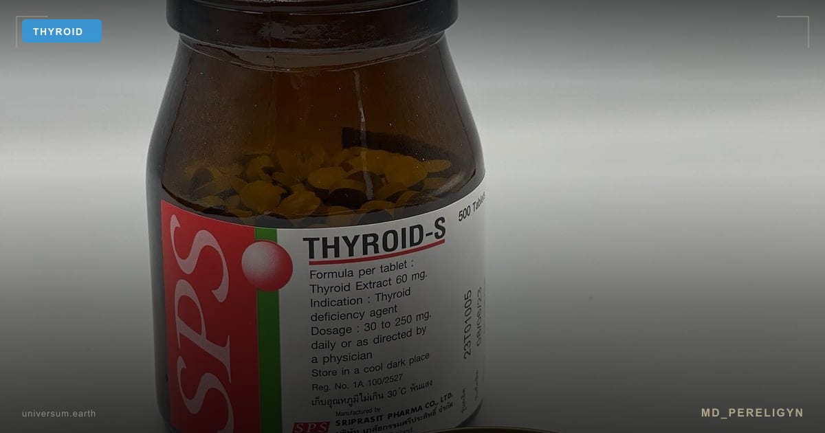 Гипотиреоз и натуральная щитовидка (NDT): почему левотироксин — не единственный вариант