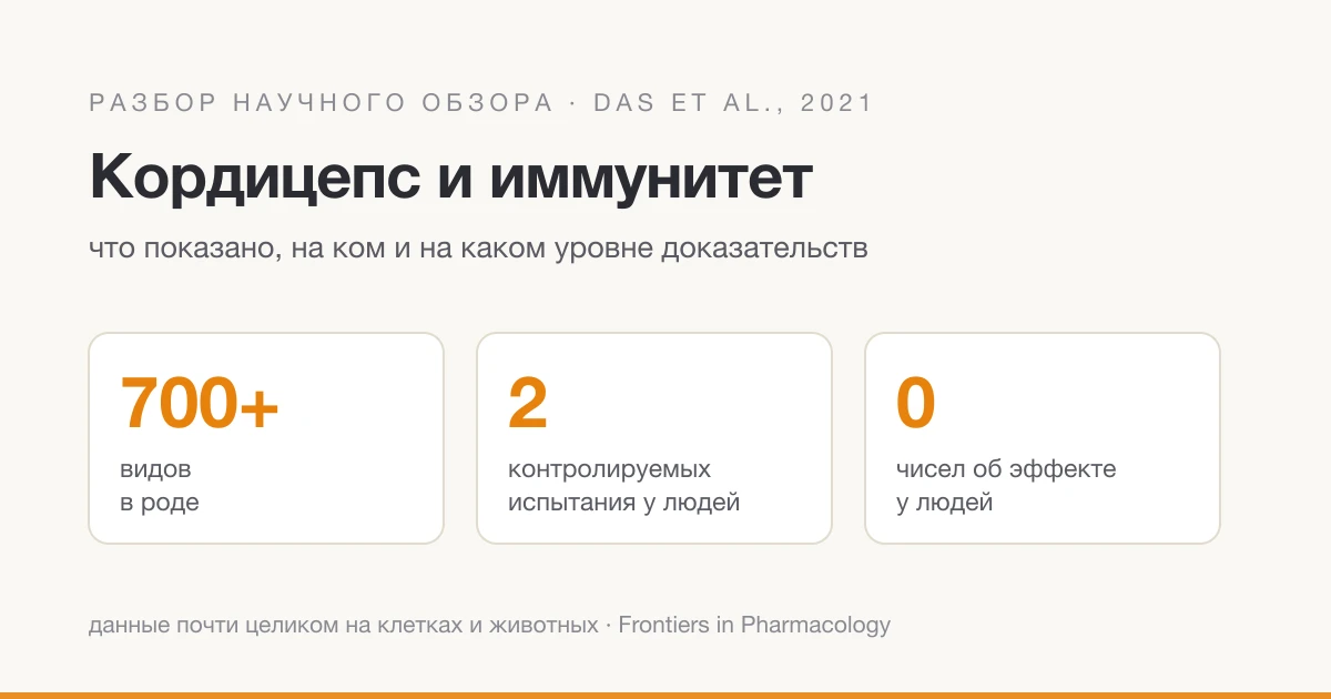 Кордицепс и иммунитет: что показал обзор Das et al., 2021