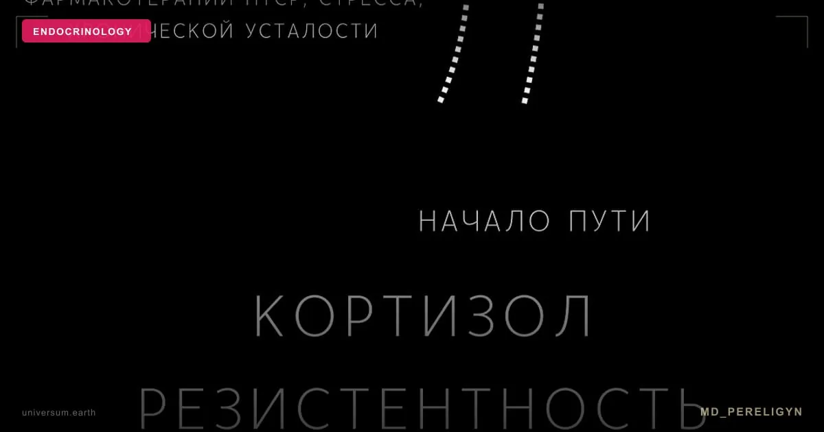 Кортизол и надпочечники: почему «усталость надпочечников» — это не диагноз, а реальная проблема