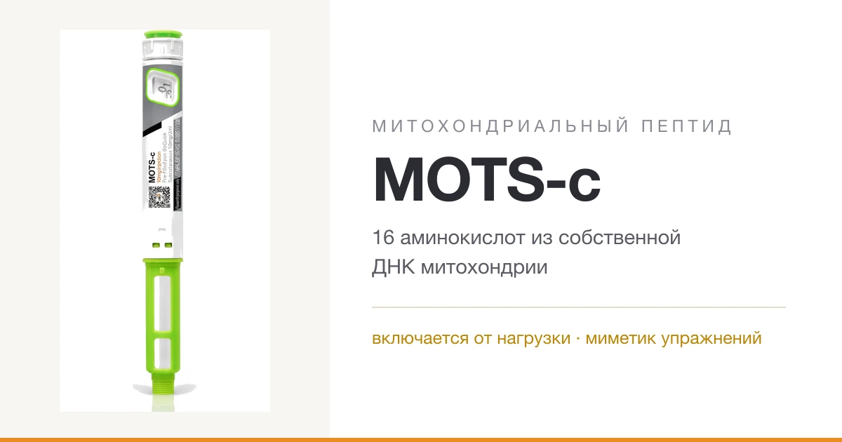 MOTS-c: пептид из собственной ДНК митохондрии, который отвечает на нагрузку