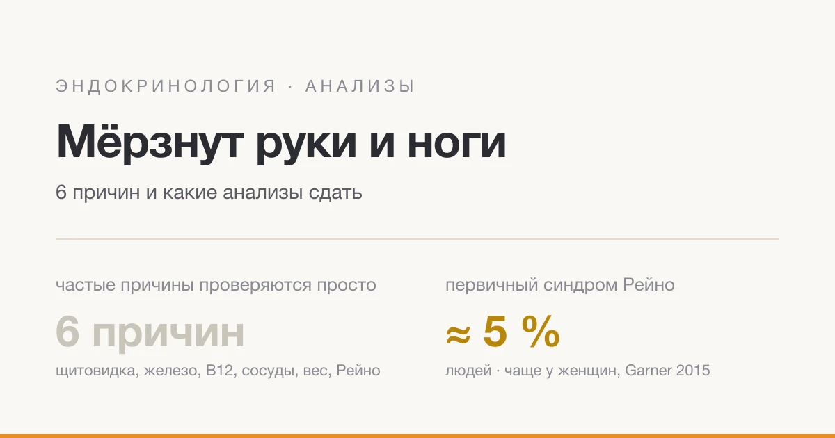 Почему постоянно мёрзнут руки и ноги: 6 причин и какие анализы сдать