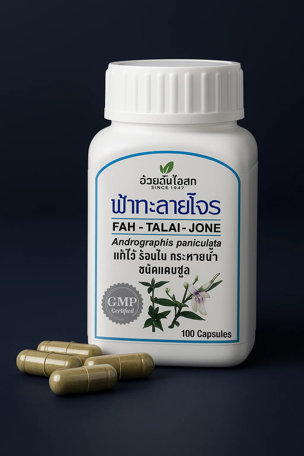 ANDROGRAPHIS 100 cpr