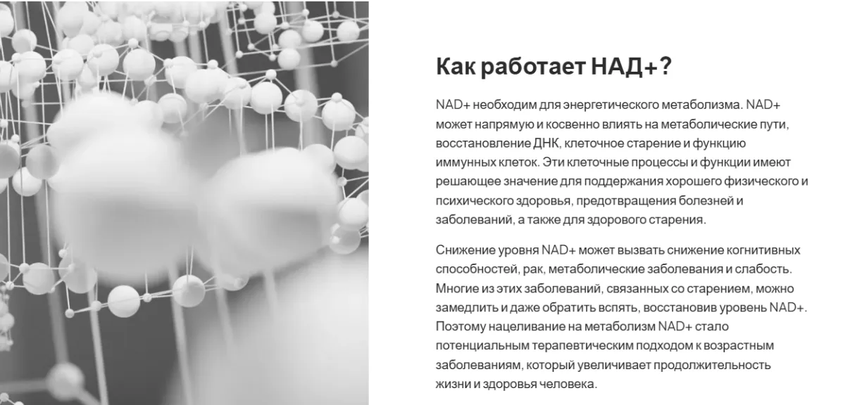 НАД+ 200 мг 2 мл ФЛАКОН 6